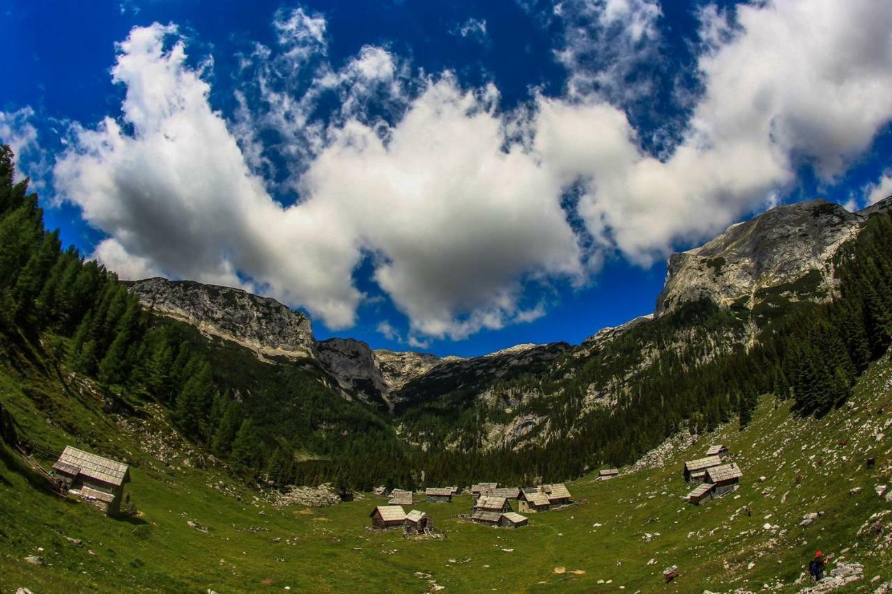 Apartmán 238 Spodnje Gorje Exteriér fotografie